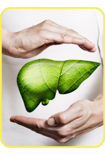 public-5c4413e3-4667-4463-9fe9-f0737299f493 Moringa Magic Review — Is This “Miracle Tree” Powder Worth Adding to Your Daily Routine?