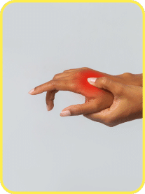 public-9c999095-cc20-4714-b702-f59eca559645 Moringa Magic Review — Is This “Miracle Tree” Powder Worth Adding to Your Daily Routine?