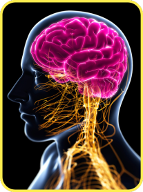 public-d3a9c31d-3310-4faf-9ea0-b96371fb126d Moringa Magic Review — Is This “Miracle Tree” Powder Worth Adding to Your Daily Routine?