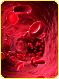 public-edb845d3-f3cd-4a31-b419-ae000dc26c94 Moringa Magic Review — Is This “Miracle Tree” Powder Worth Adding to Your Daily Routine?